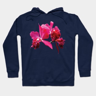 Magenta Orchids Hoodie